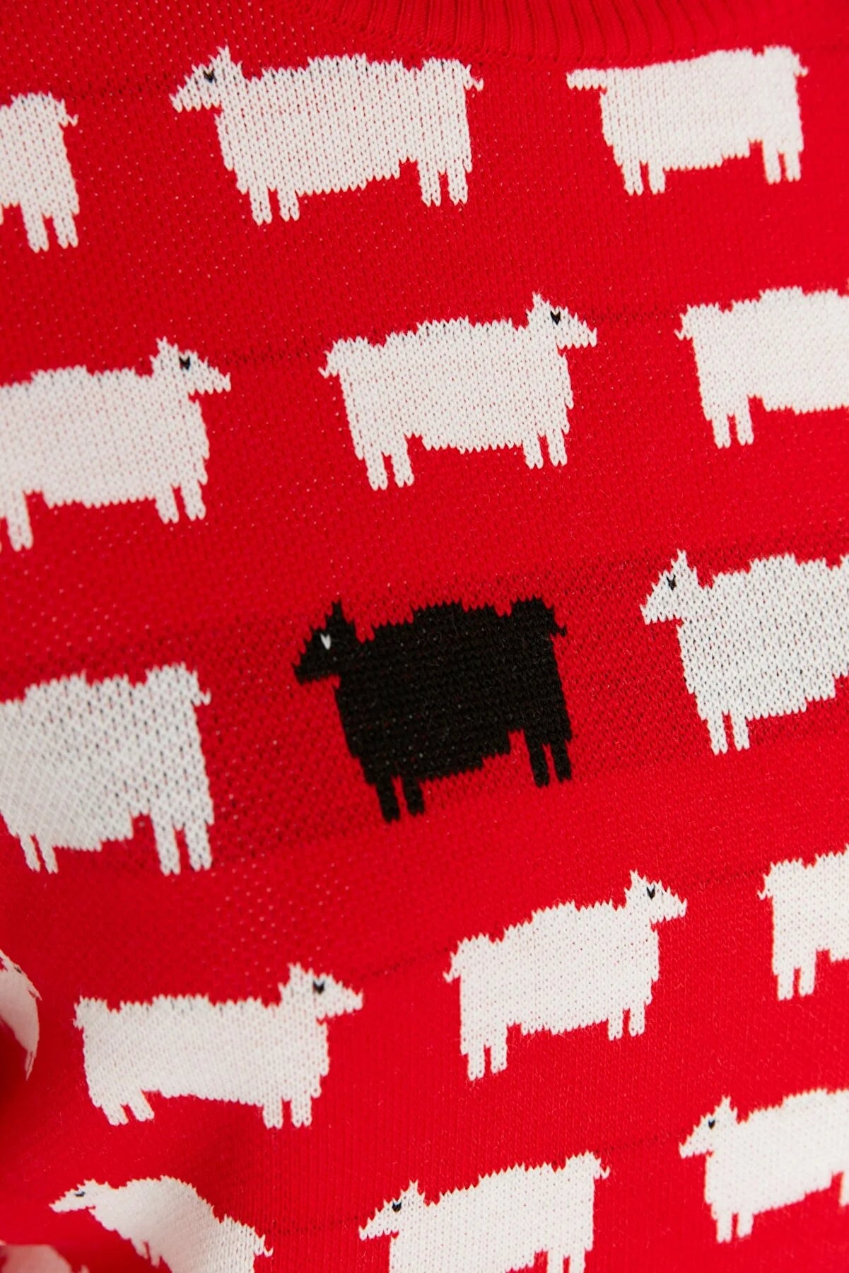 Red Self Patterned Crew Neck Knitwear Sweater