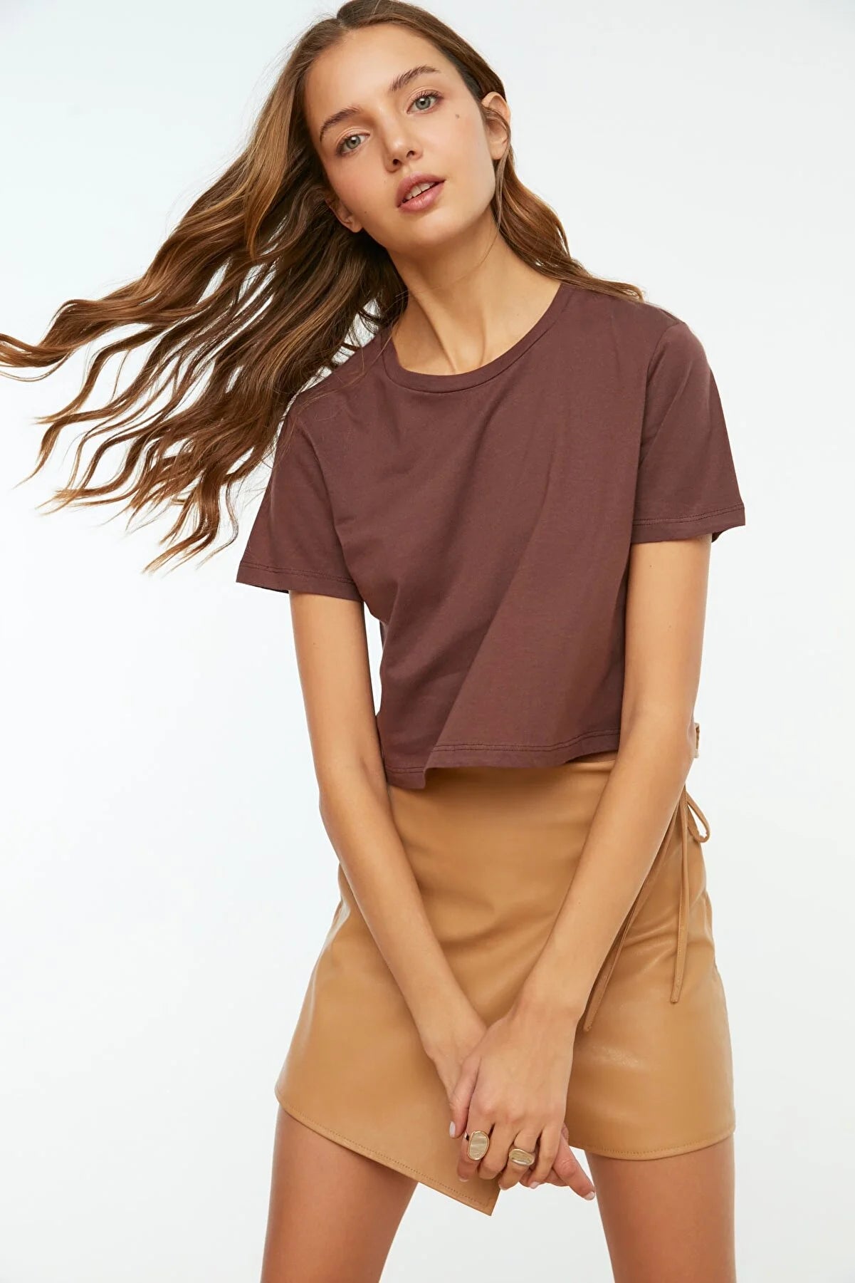 Brown Crew Neck Crop Knitted T-Shirt